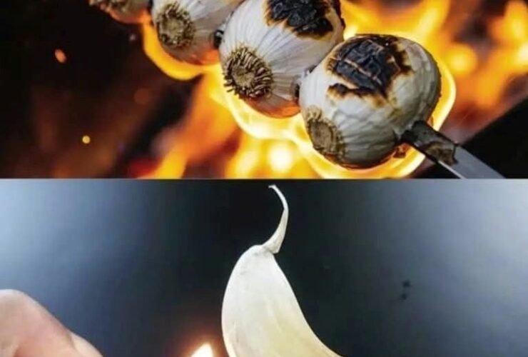 WhatsApp Image 2026 02 06 at 17.27.26