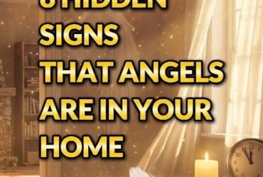 WhatsApp Image 2026 02 06 at 18.16.07