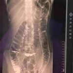 495168660 122135942684648101 6973593104301750494 n