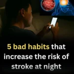 540684602 1334423518076344 375042903823929772 n