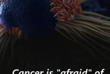 581161326 850090027574466 2355233866203240261 n 1