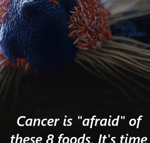 581161326 850090027574466 2355233866203240261 n 1