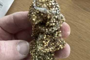 628952250 122186601626528977 943279138128393043 n 1155x1536 1