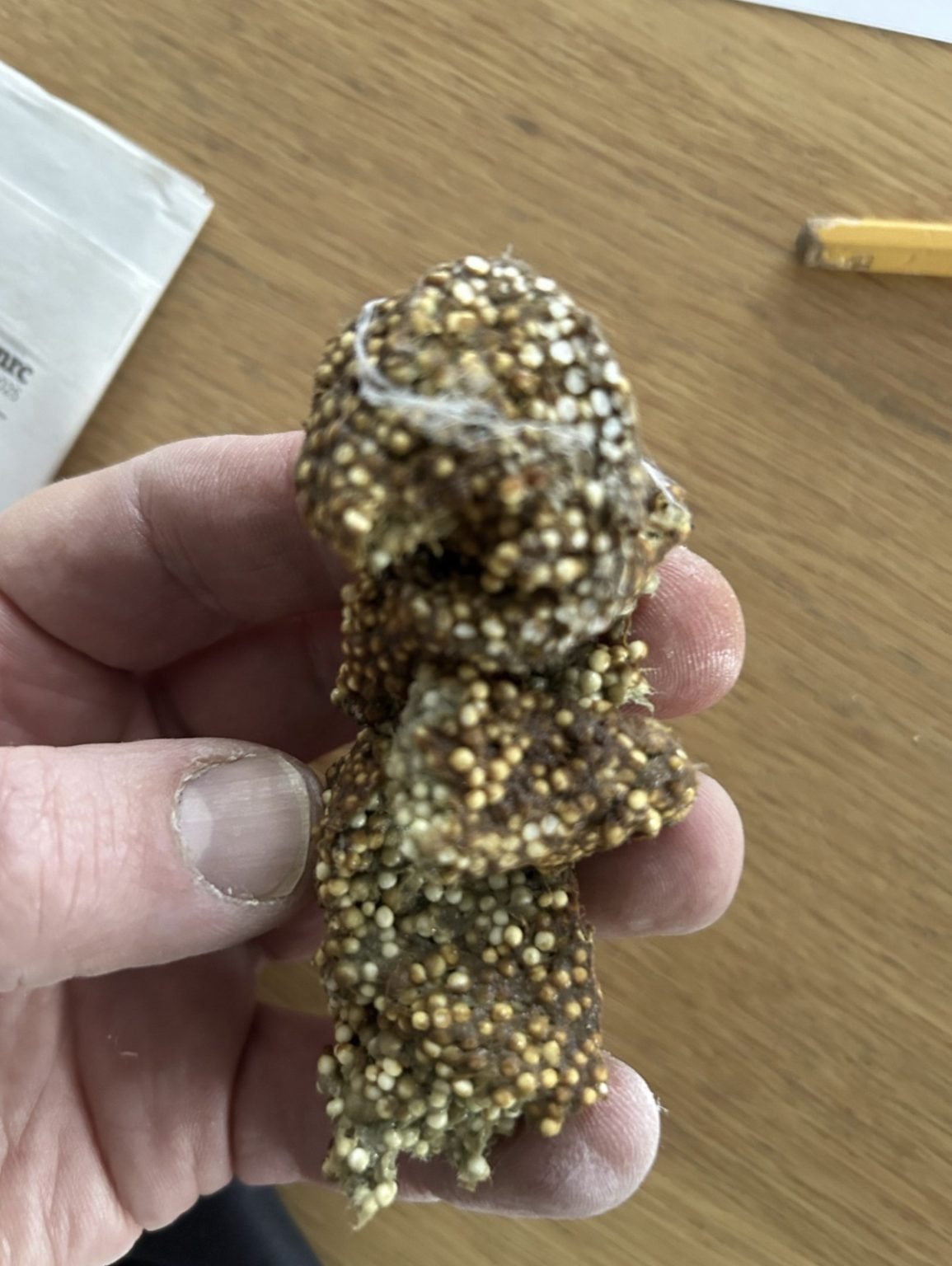 628952250 122186601626528977 943279138128393043 n 1155x1536 1