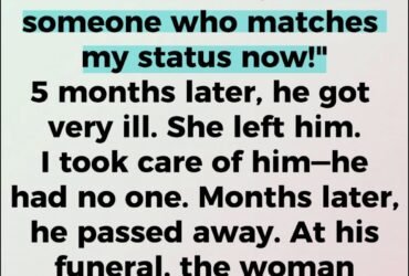 641672092 1641807607172937 3272794134148414765 n