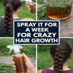 644286072 122294697674237330 8940285240216725152 n