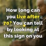 645358651 1651195926329588 7214447769769874474 n