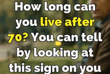 645358651 1651195926329588 7214447769769874474 n