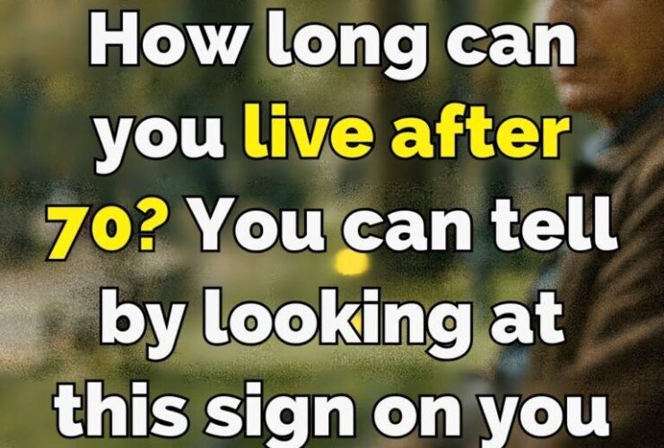 645358651 1651195926329588 7214447769769874474 n