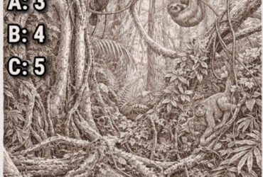 645879166 1379747654196306 8243697676686041748 n