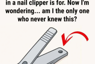 Capture decran 2025 12 29 132844