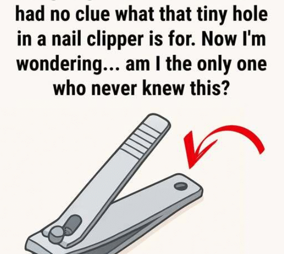 Capture decran 2025 12 29 132844