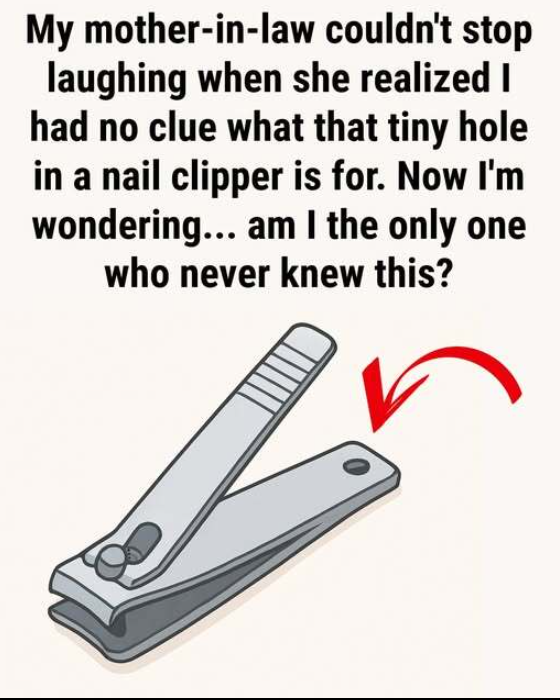 Capture decran 2025 12 29 132844