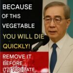 Screenshot 20260301 075047 Google