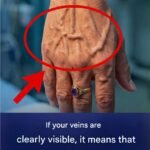 Screenshot 20260301 131042 Google