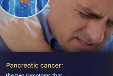 Screenshot 20260301 131539 Google