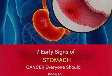 Screenshot 20260301 132022 Google