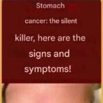 WhatsApp Image 2025 11 22 at 11.01.17