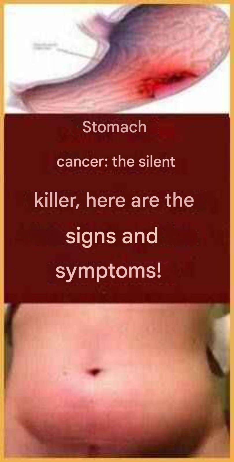 WhatsApp Image 2025 11 22 at 11.01.17